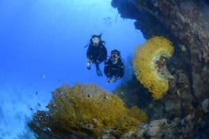 Atlantis Diving Lanzarote Inmersion De Buceo