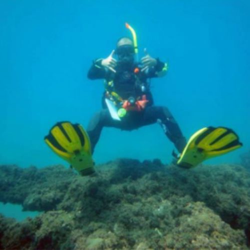 Buceo Estepona buceador durante inmersion